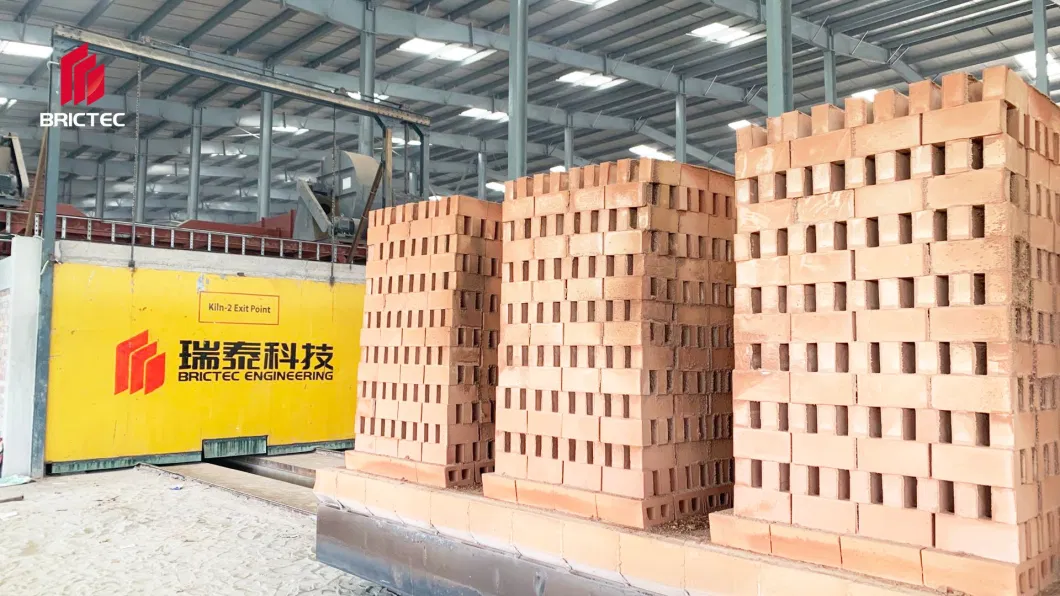 Brick Making Factory with Automatic Rack Drying System