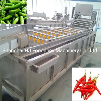 Stainless Steel Conveyor System for Fruit Washing and Drying Machine